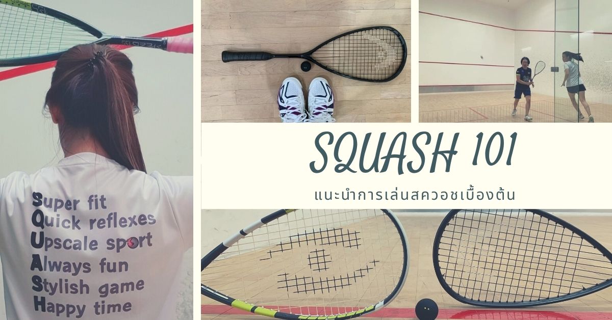 squash101-สควอชเบื้องต้น